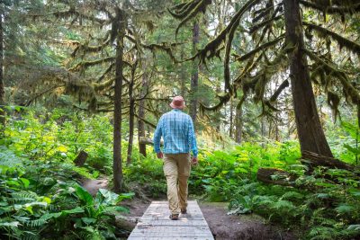 Manfaat Terapi Hutan (Forest Bathing) Untuk Kesehatan Mental