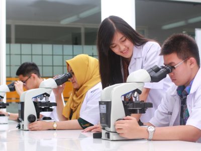 Terapi Genetik: Revolusi Pengobatan Penyakit Kronis