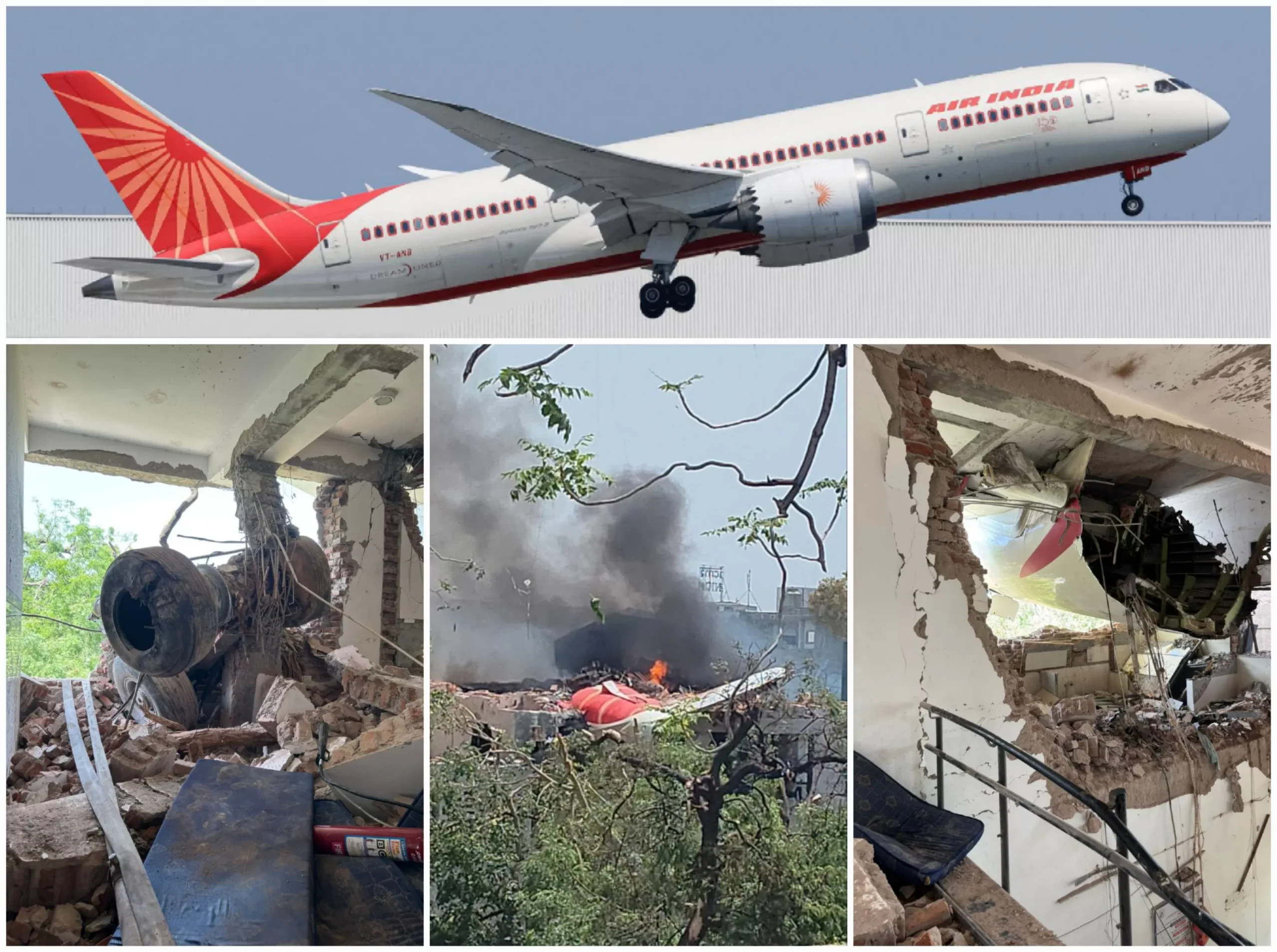 Penyelidikan Kecelakaan Air India: Apa Kata Para Ahli?