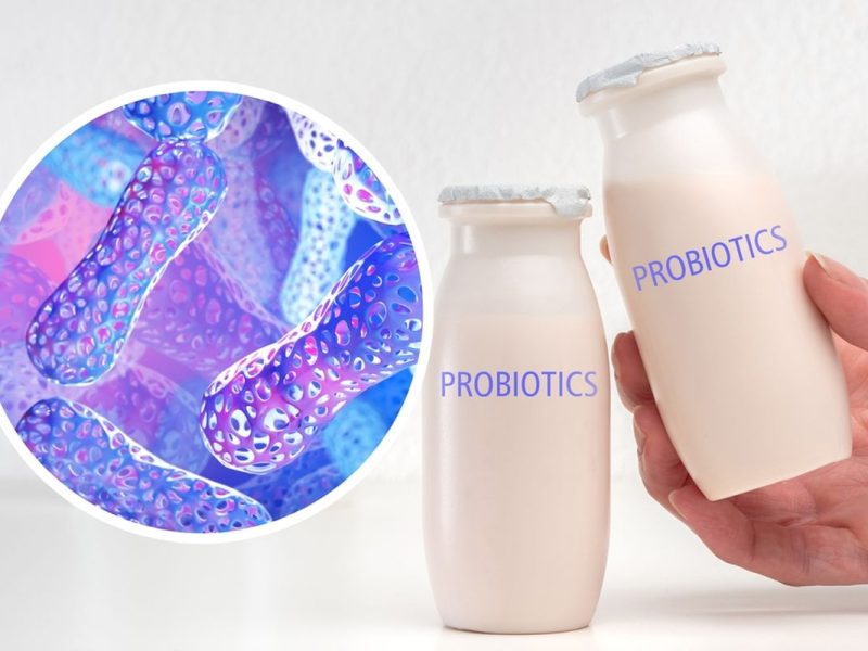 Probiotik Melindungi Tubuh Dari Infeksi Dan Peradangan
