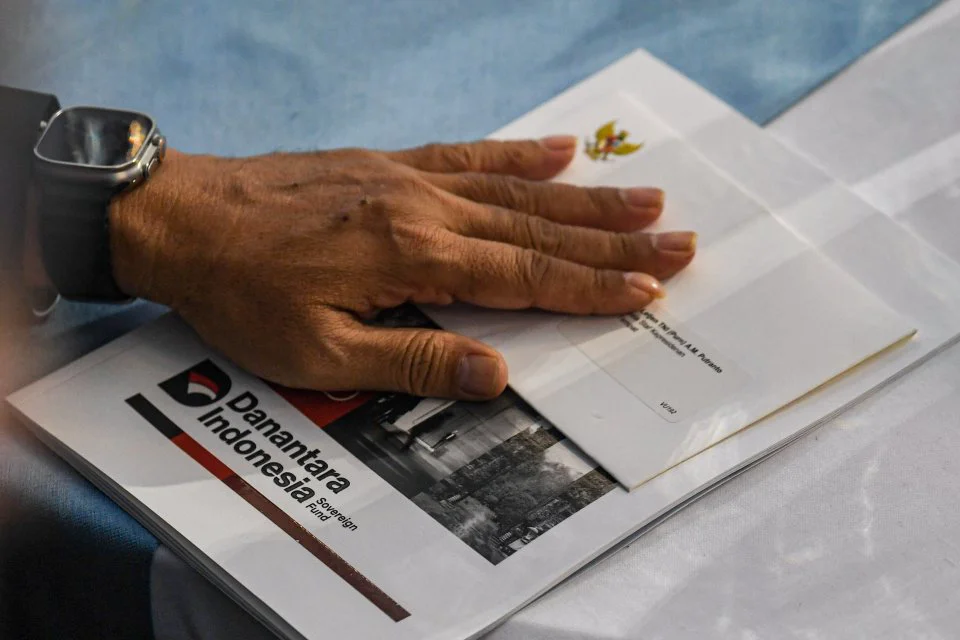 Sektor Unggulan Penyumbang Surplus Danantara