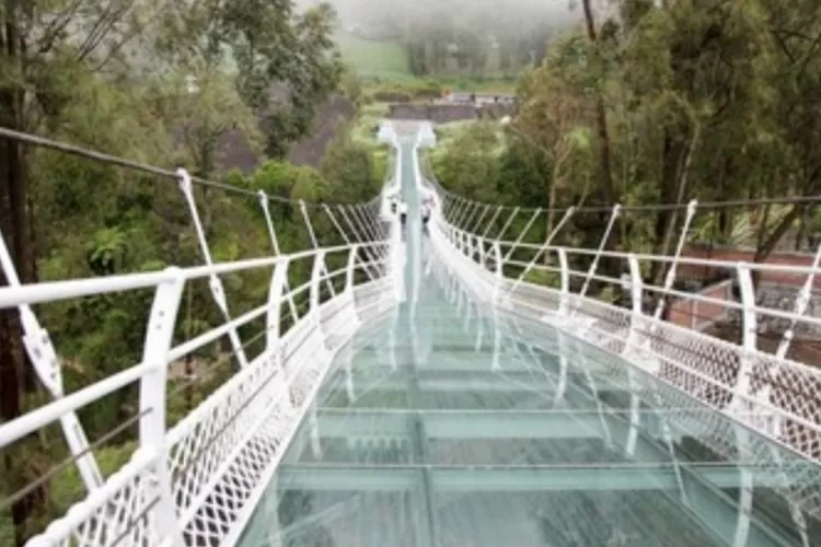 Operasional Jembatan Kaca Di Bromo Masih Tunggu Proses Perizinan