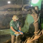 Wisata Malam Ragunan Tetap Buka Saat Libur Tahun Baru