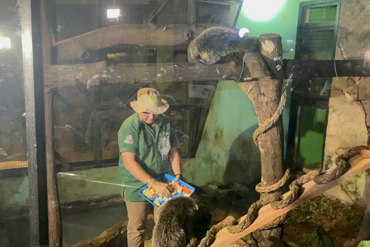 Wisata Malam Ragunan