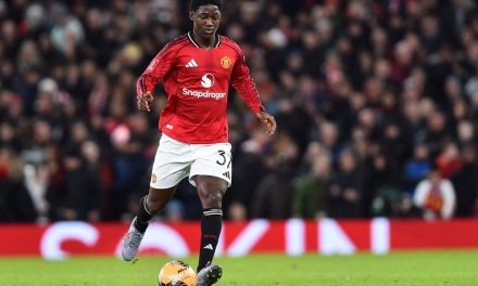 Carrick Bawa Trio Man United Kembali Ke Radar Timnas Inggris