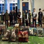 Gagal Total! Penyelundup 53 Koli Satwa Di Aceh Di Tangkap