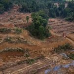 Hutan Habis, Napas Sesak: Saat Hijau Berganti Beton & Abu