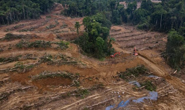 Hutan Habis, Napas Sesak: Saat Hijau Berganti Beton & Abu