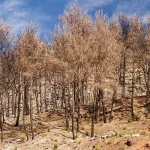 Update Riset: Trik Bicara Perubahan Iklim Agar Di Dengar