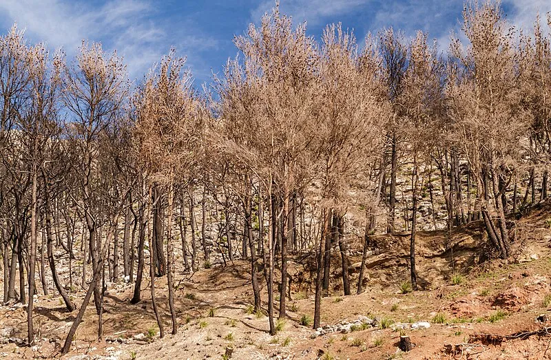 Update Riset: Trik Bicara Perubahan Iklim Agar Di Dengar