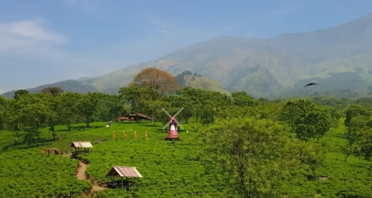 Healing Ke Alam: Bikin Tenang Sekaligus Sehat