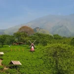 Healing Ke Alam: Bikin Tenang Sekaligus Sehat