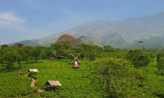 Healing Ke Alam: Bikin Tenang Sekaligus Sehat