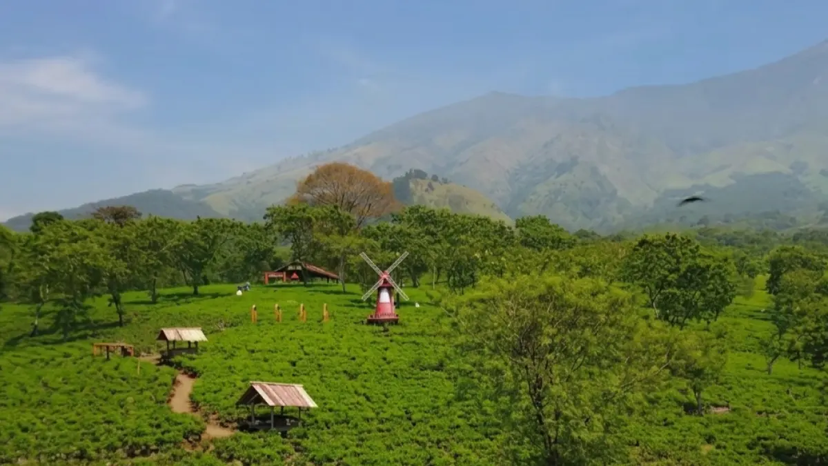 Healing Ke Alam: Bikin Tenang Sekaligus Sehat